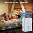 35 Pint(DOE) Dehumidifier for Home with 24H Timer White