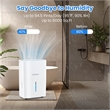 35 Pint(DOE) Dehumidifier for Home with 24H Timer White