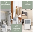8 Pint(DOE) Dehumidifier w/Energy Efficient Automatic Shutoff 2000 Sq.ft White Plastic