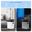 35 Pint(DOE) Dehumidifier with Tank 4500 Sq.ft Coverage Area White