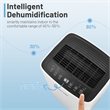 9 Pint (DOE) Portable Dehumidifier 1500 Sq.ft Coverage Area White