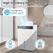 22 Pint(DOE) Dehumidifier For Home 6000 Sq.Ft  Coverage Area White