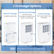 50 Pint(DOE) Dehumidifier with Pump 5000 Sq.ft Coverage Area White