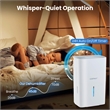 50 Pint(DOE) Dehumidifier with Pump 5000 Sq.ft Coverage Area White