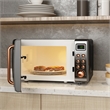 0.7 Cu.ft Retro Countertop Microwave Oven 700W Black