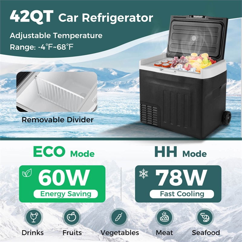 12 Volt Car Refrigerator with Adjustable Range Divider for Camping 42 QT Black
