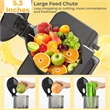 Cold Press Juicer Machine Professional Slow Masticating Juicer with Reverse Button Gray Plastic