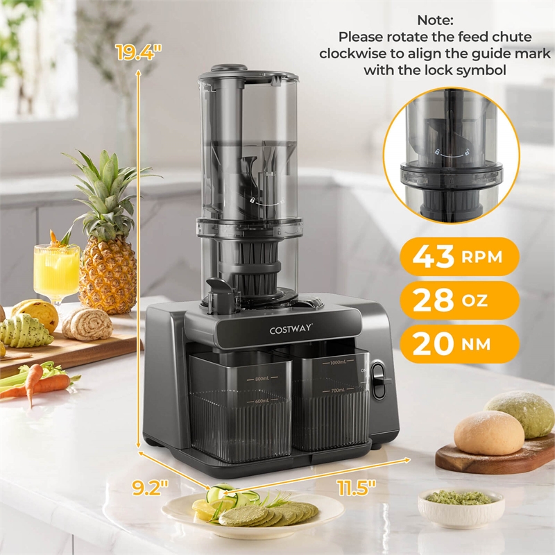 Cold Press Juicer Machine Professional Slow Masticating Juicer with Reverse Button Gray Plastic