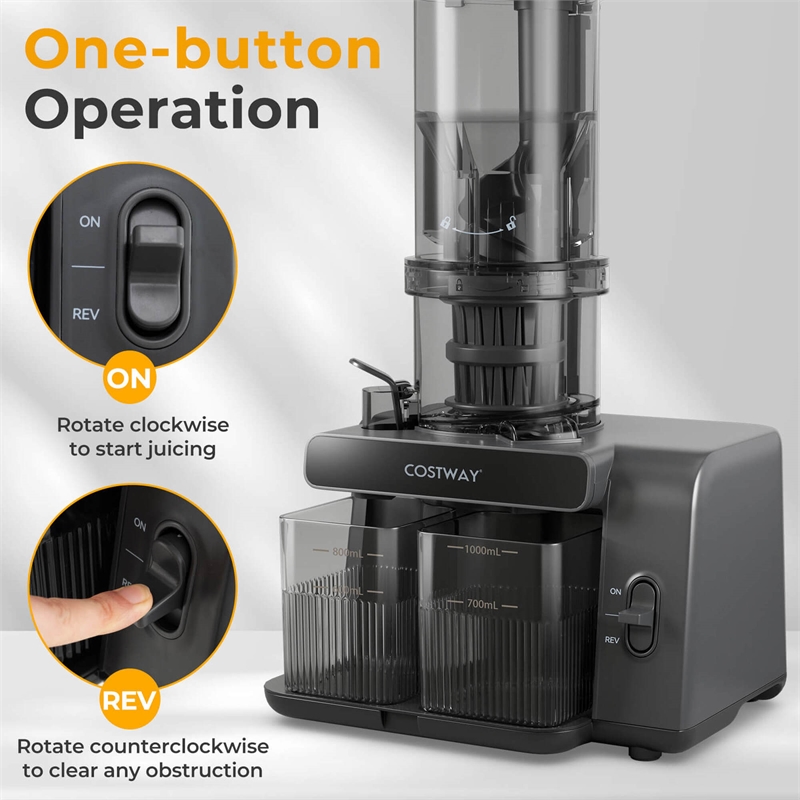 Cold Press Juicer Machine Professional Slow Masticating Juicer with Reverse Button Gray Plastic