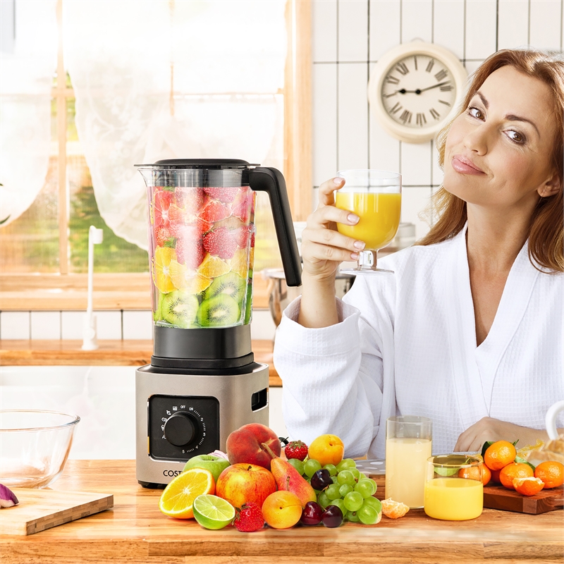 1500W 5 Speed Countertop Smoothi Blender Silver Metal