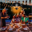 1500W Electric Outdoor Hanging Patio Heater w/ IPX4 Waterproof