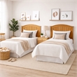 Cardiff Twin Headboard Only - Maple