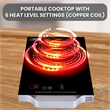 Equator 11inch Portable Single-Burner Induction Cooktop - with Handle in Black