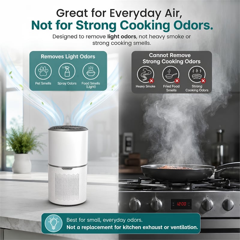 Equator 4.6lbs air purifier and air sterilizer/quiet standing with smoke removal