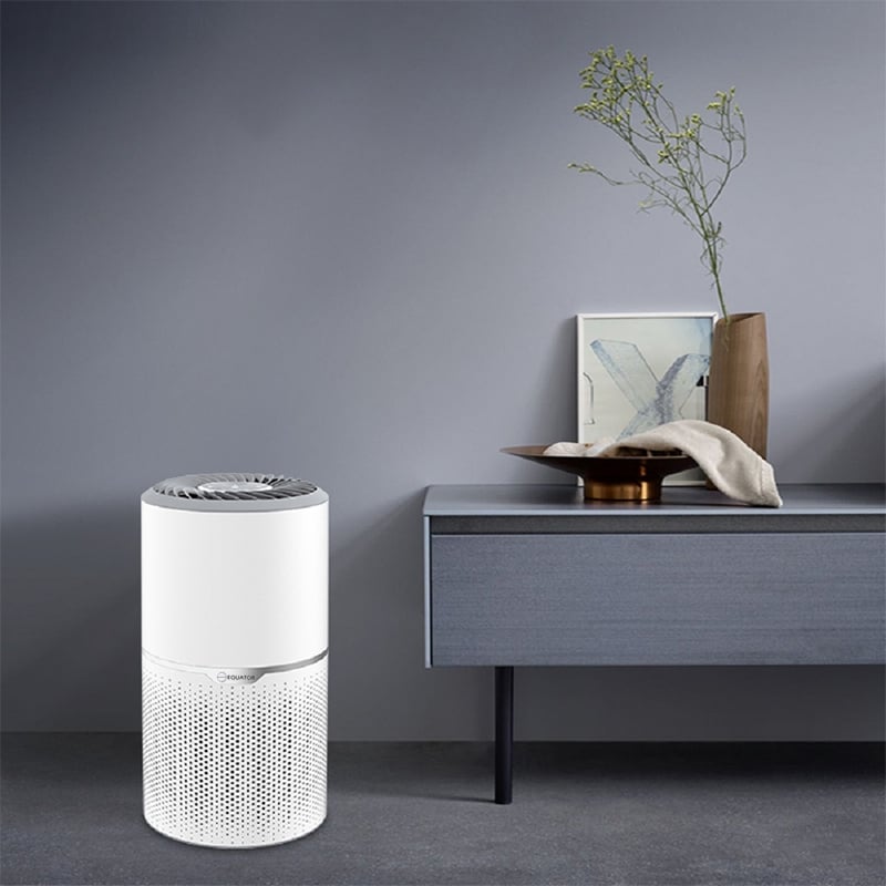 Equator 4.6lbs air purifier and air sterilizer/quiet standing with smoke removal