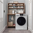 Equator 1.6 cu.ft./15 lbs Silver 110V Front load Washer 15 programs + Pet Cycle