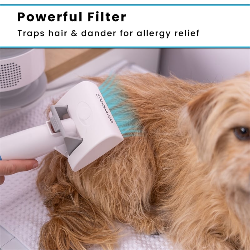 Equator 120V Advanced Pet Groomer w/ Adjustable Clipping Comb