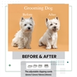 Equator 120V Advanced Pet Groomer w/ Adjustable Clipping Comb