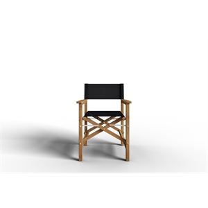 Curated Maison Directeur Teak Folding Outdoor Folding Armchair in Black