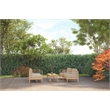 Curated Maison Leon Teak Outdoor Club Chair with Fawn Cushion in Tan