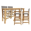 Curated Maison Directeur 5-Piece Counter Height Teak Outdoor Dining Set in Taupe