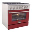 Kucht Professional 36