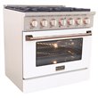 Kucht Professional 36