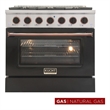 Kucht Professional 36