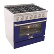 Kucht Professional 36