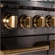 Gemstone Professional 48-in Natural Gas Range in Titanium Stainless Steel
