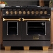 Gemstone Professional 48-in Natural Gas Range in Titanium Stainless Steel