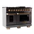 Gemstone Professional 48-in Natural Gas Range in Titanium Stainless Steel