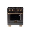 30 in. 4.2 cu. ft. Dual Fuel Range for Propane Gas in Dark Stainless Steel
