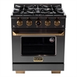 30 in. 4.2 cu. ft. Dual Fuel Range for Propane Gas in Dark Stainless Steel