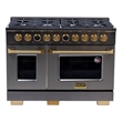 48 in. 8 Burners Dual Fuel Range for Propane Gas in Dark Stainless Steel