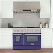 48 in. 6.7 cu. ft. Dual Fuel Range for Propane Gas in Blue