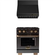 Dual Fuel Range Propane Gas in Titanium Stainless Steel + Wall Mount Range Hood