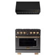 Dual Fuel Range Propane Gas in Titanium Stainless Steel Under Cabinet Range Hood