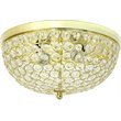 Elegant Designs Crystal 2 Light Flush Mount Ceiling Light in Gold