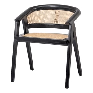NPD Furniture Seine 19&quot Rattan and Wood Dining Chair in Natural/Black