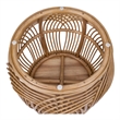 NPD Furniture Arlo Rattan Side/ End Table w/ Wood Top in Honey