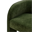 NPD Furniture Matteo Velvet Accent Arm Chair in Dainty Green