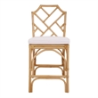 NPD Furniture Kara Rattan Counter Stool (Set of 2)