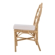 NPD Furniture Kara Rattan Dining Side Chair (Set of 2)