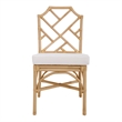 NPD Furniture Kara Rattan Dining Side Chair (Set of 2)
