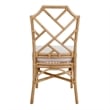 NPD Furniture Kara Rattan Dining Side Chair (Set of 2)