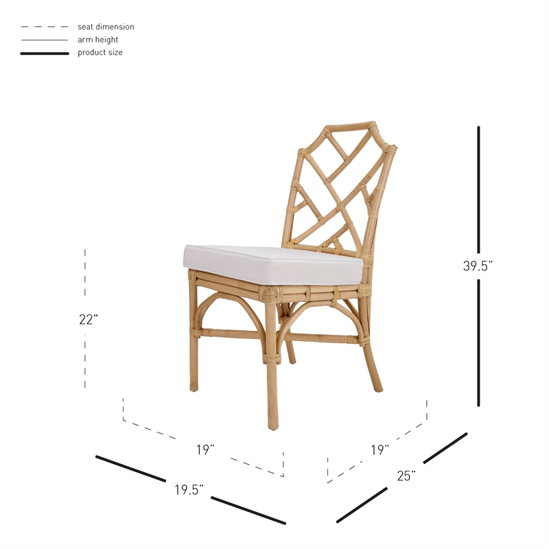 NPD Furniture Kara Rattan Dining Side Chair (Set of 2)