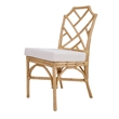 NPD Furniture Kara Rattan Dining Side Chair (Set of 2)