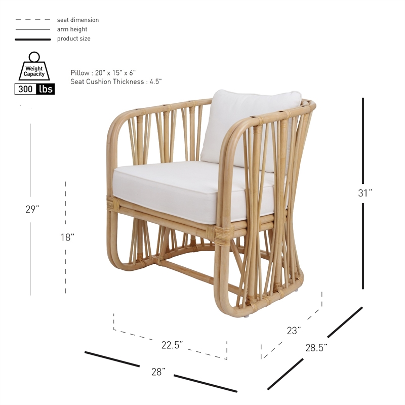 NPD Furniture Shanaya Rattan Accent Arm Chair in Natural