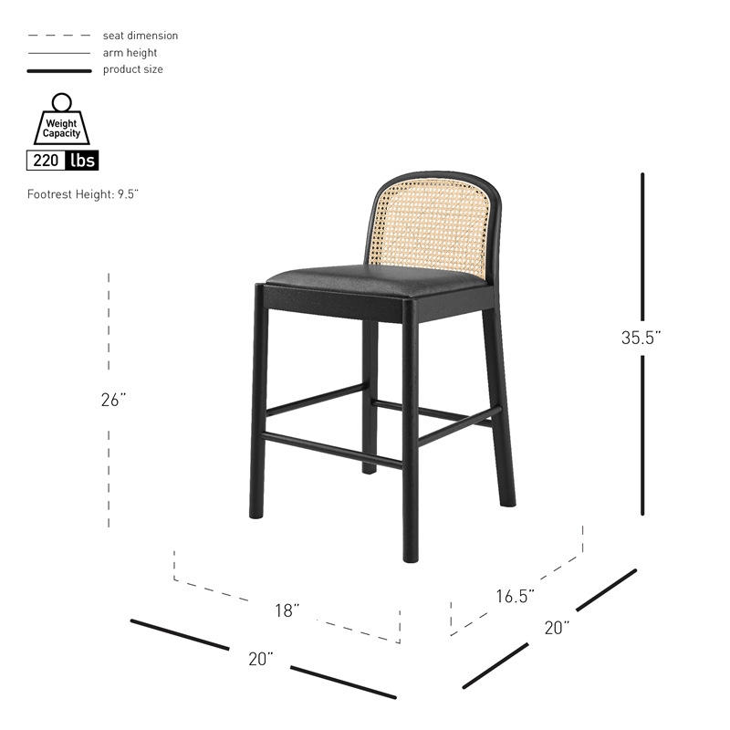 NPD Furniture Donna Faux Leather Rattan Counter Stool in Black (Set of 2)